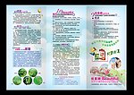 优美减肥胶囊 宣传DM 3折页 第2页