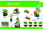 花卉