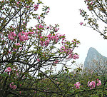 春含远山