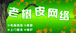 老树皮网络