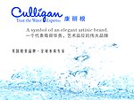 康丽根形象墙