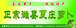 潍县萝卜