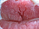 红柚 果肉 特写