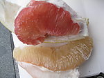 红柚与白柚 果肉 特写