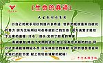 生命的真谛
