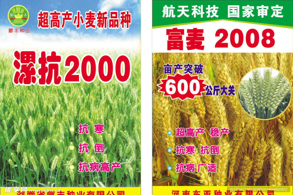 小麦宣传单海报