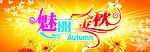 美丽金秋