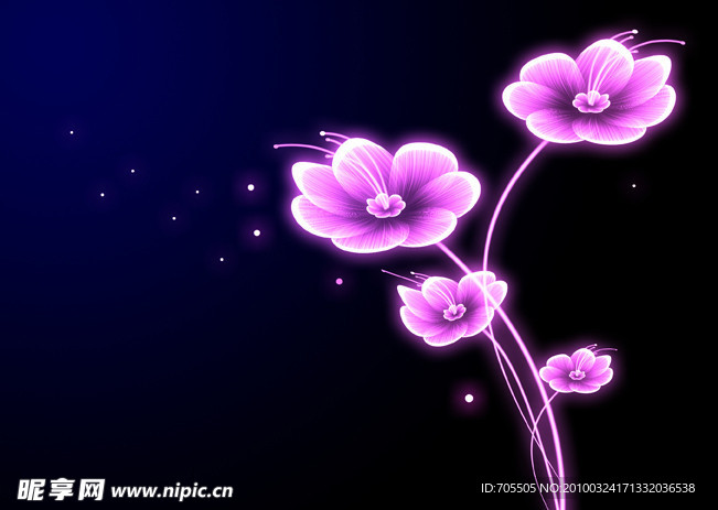 梦幻花
