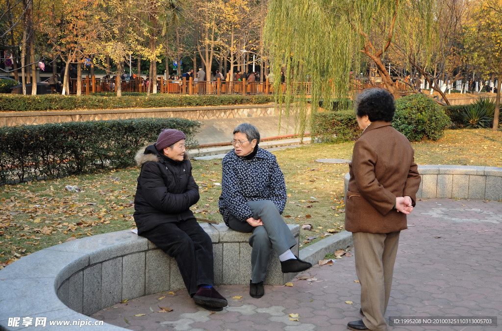 余晖 博弈 银杏 叶黄 杭州 朝晖 运河