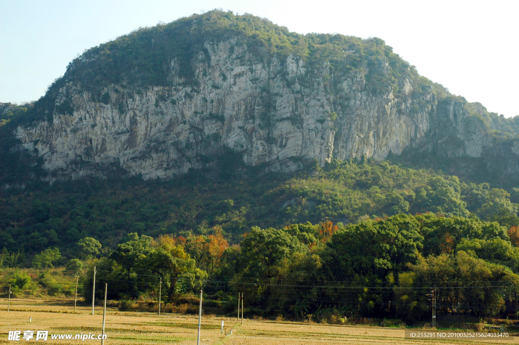 田野