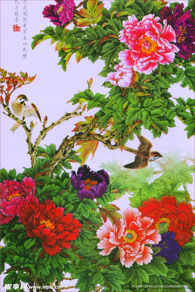 牡丹工笔画
