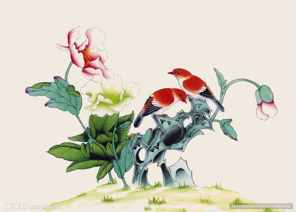 牡丹花鸟