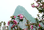 春含远山