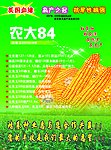 农大84玉米图彩页