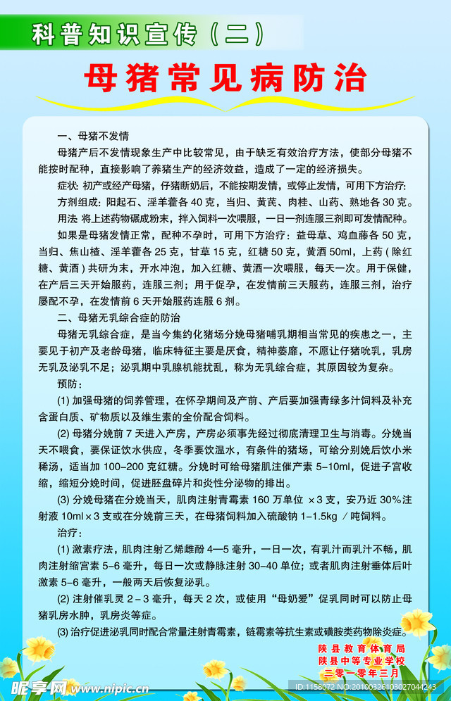 母猪常见病防治