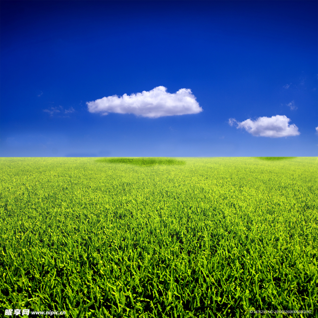 蓝天白云草从草地高清图片