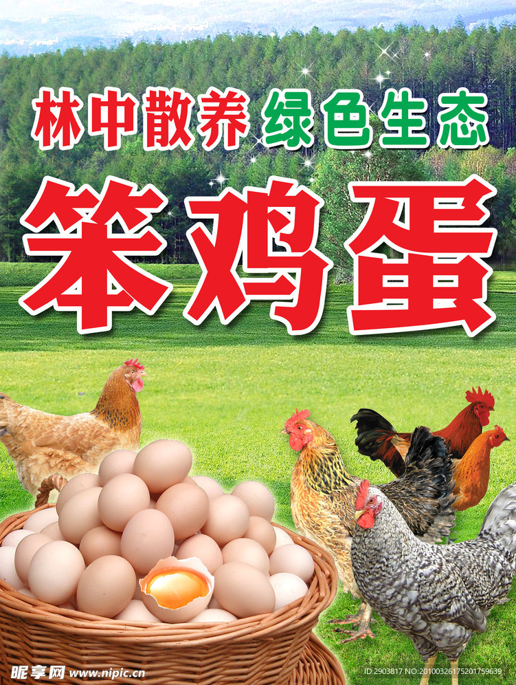 笨鸡蛋