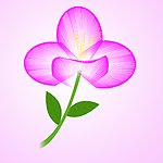花儿朵朵开