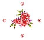 花卉