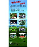 野外生存海报