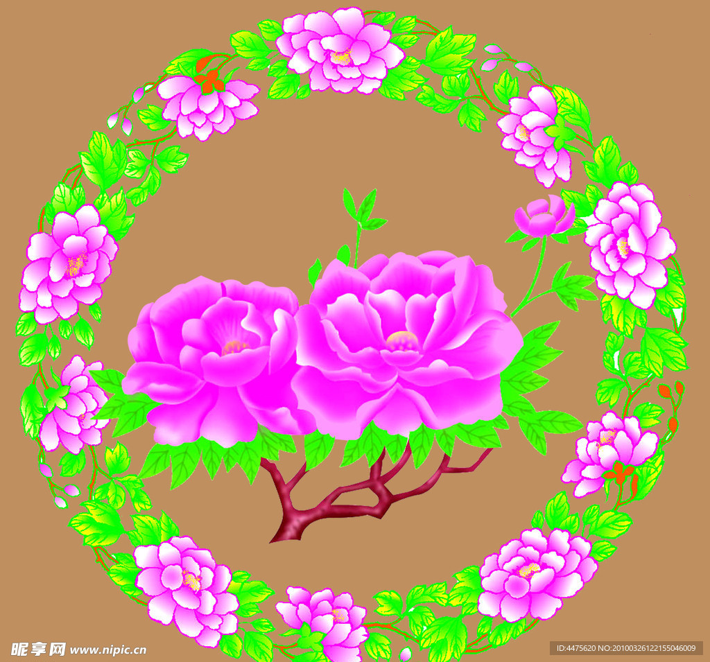 牡丹花