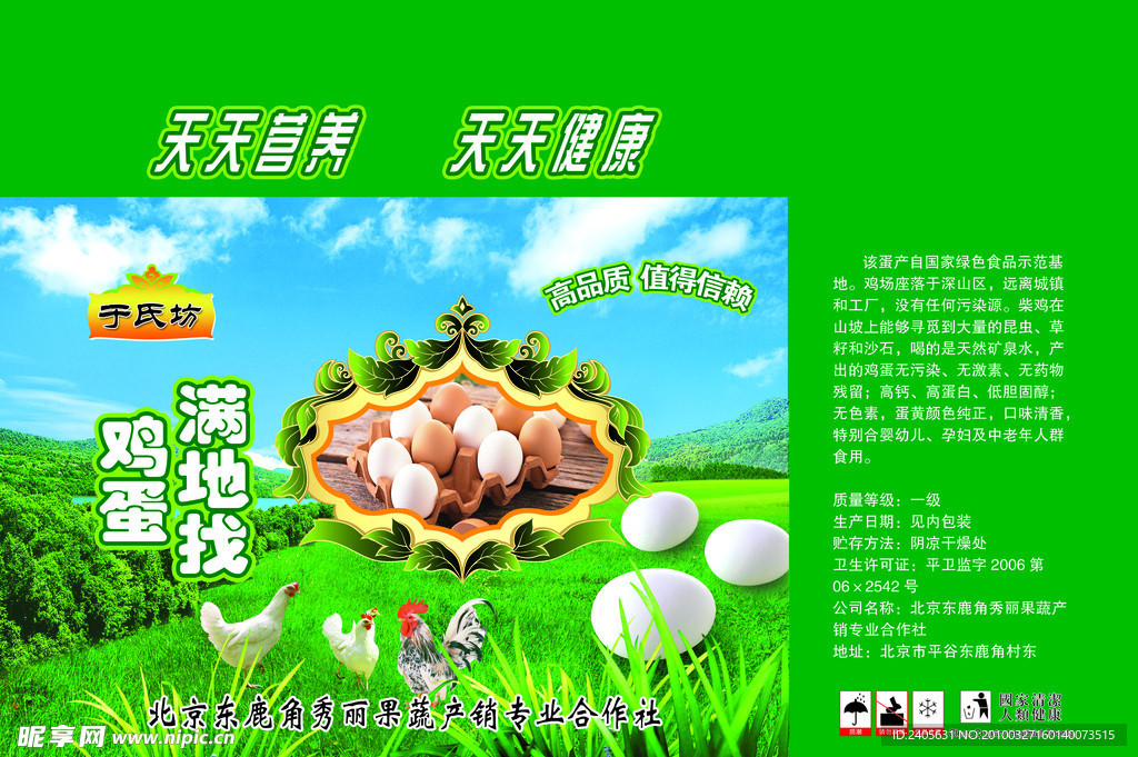 鸡蛋包装