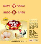鸡蛋包装