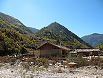 丽江