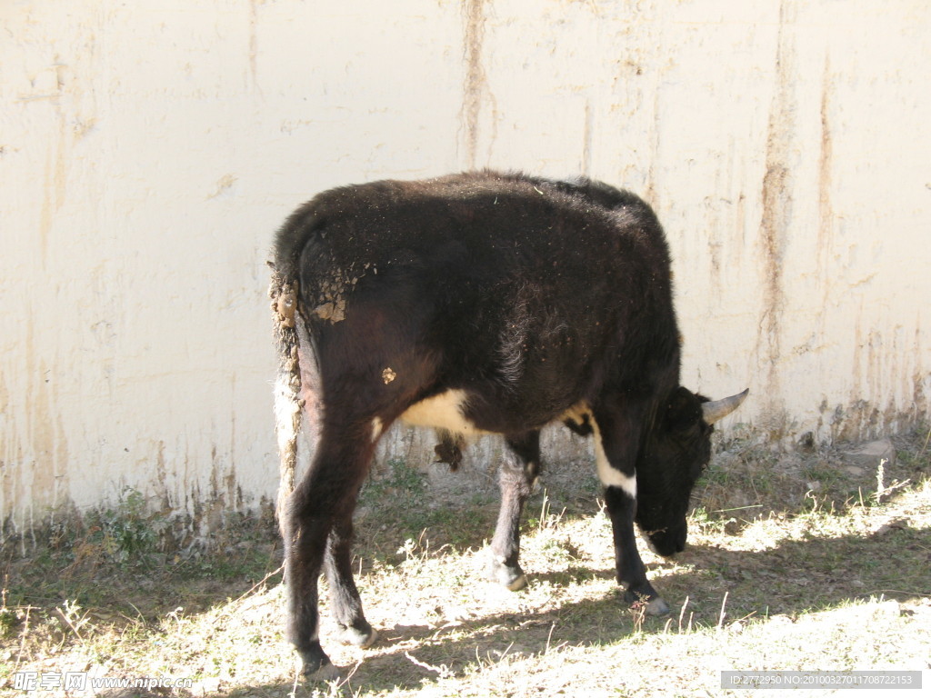丽江