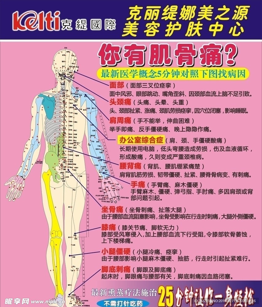 克丽缇娜 肌肉痛病理图