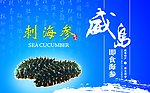 海参包装