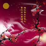 梅花香自苦寒来
