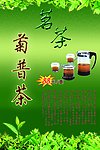 菊普茶海报设计