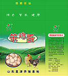 永鑫笨鸡蛋箱子