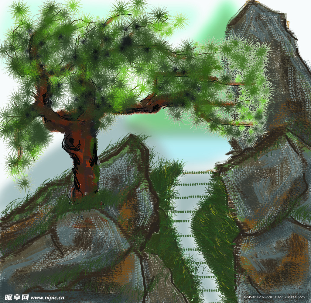 松树