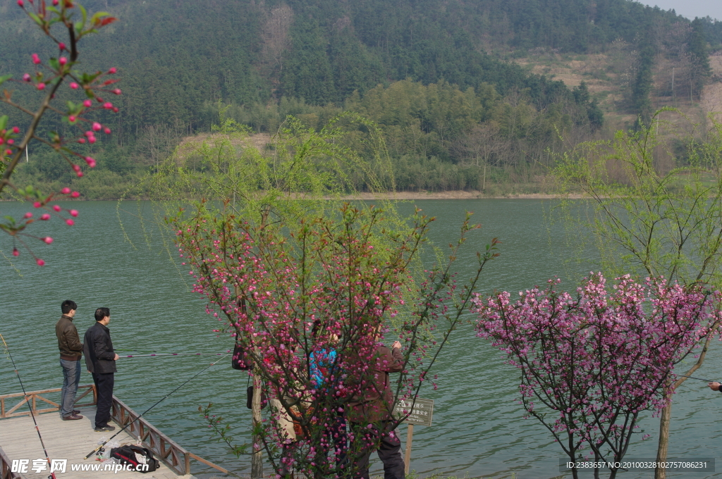 景区