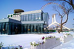 白雪 蓝天 西餐