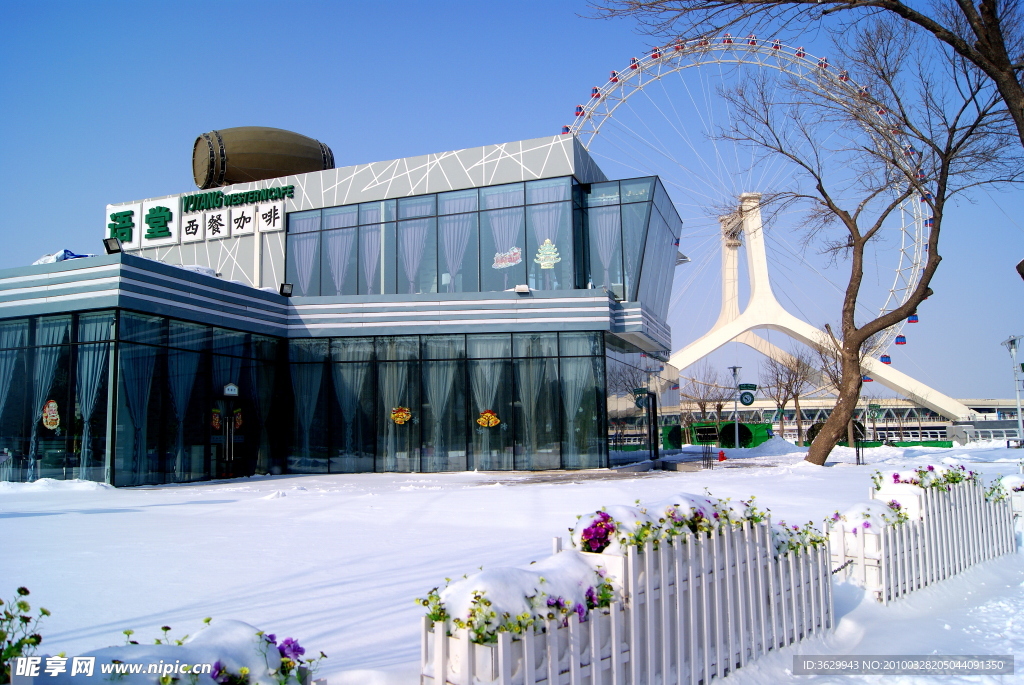 白雪 蓝天 西餐
