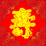 矢量寿