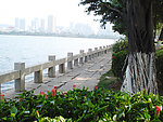 风景