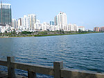 风景