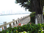 风景