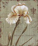 花卉油画 （ 50厘米 X 60厘米 ）