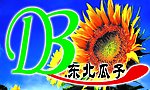 东北瓜子