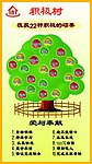 积极树