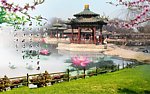 风景如画