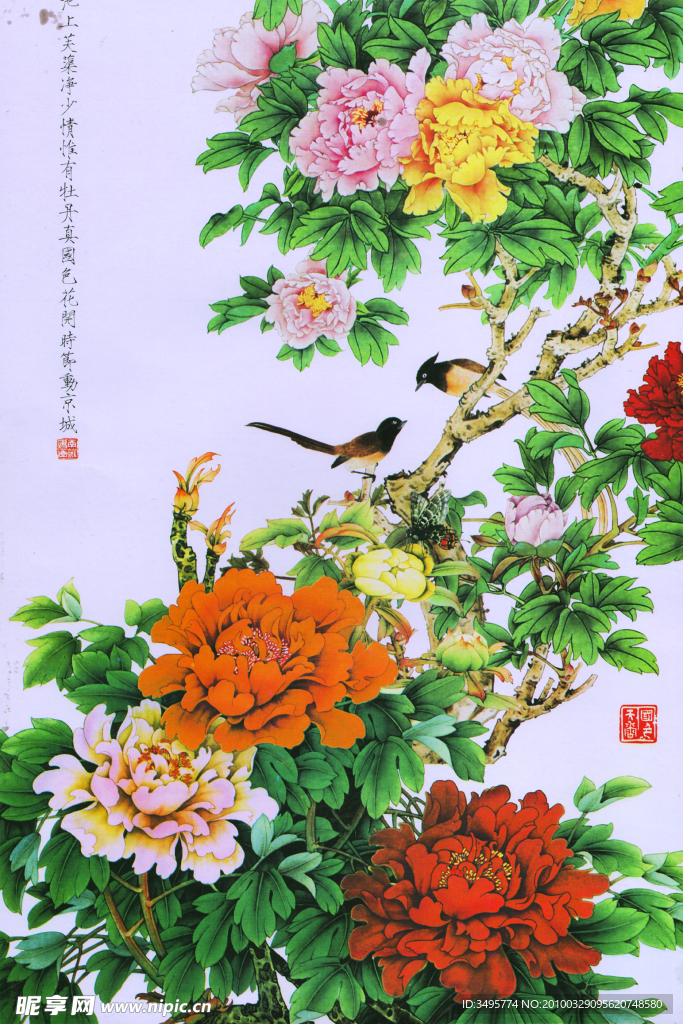 牡丹工笔画