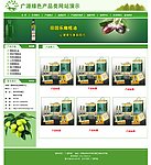 绿色食品类企业网站 产品展示页面