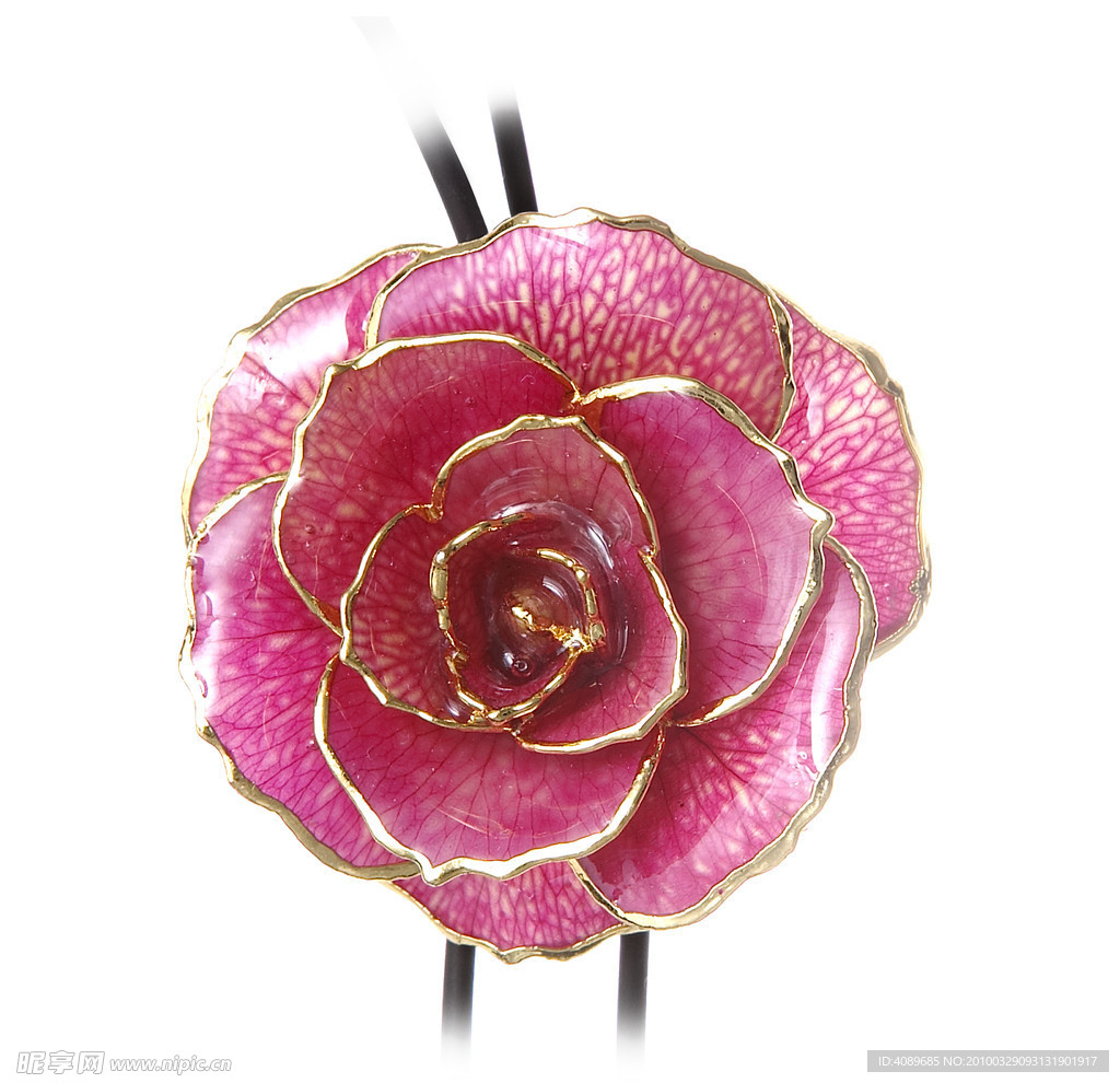 玫瑰花