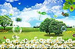 油菜花绿草背景素材